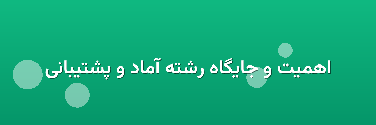 اهمیت و جایگاه رشته آماد و پشتیبانی